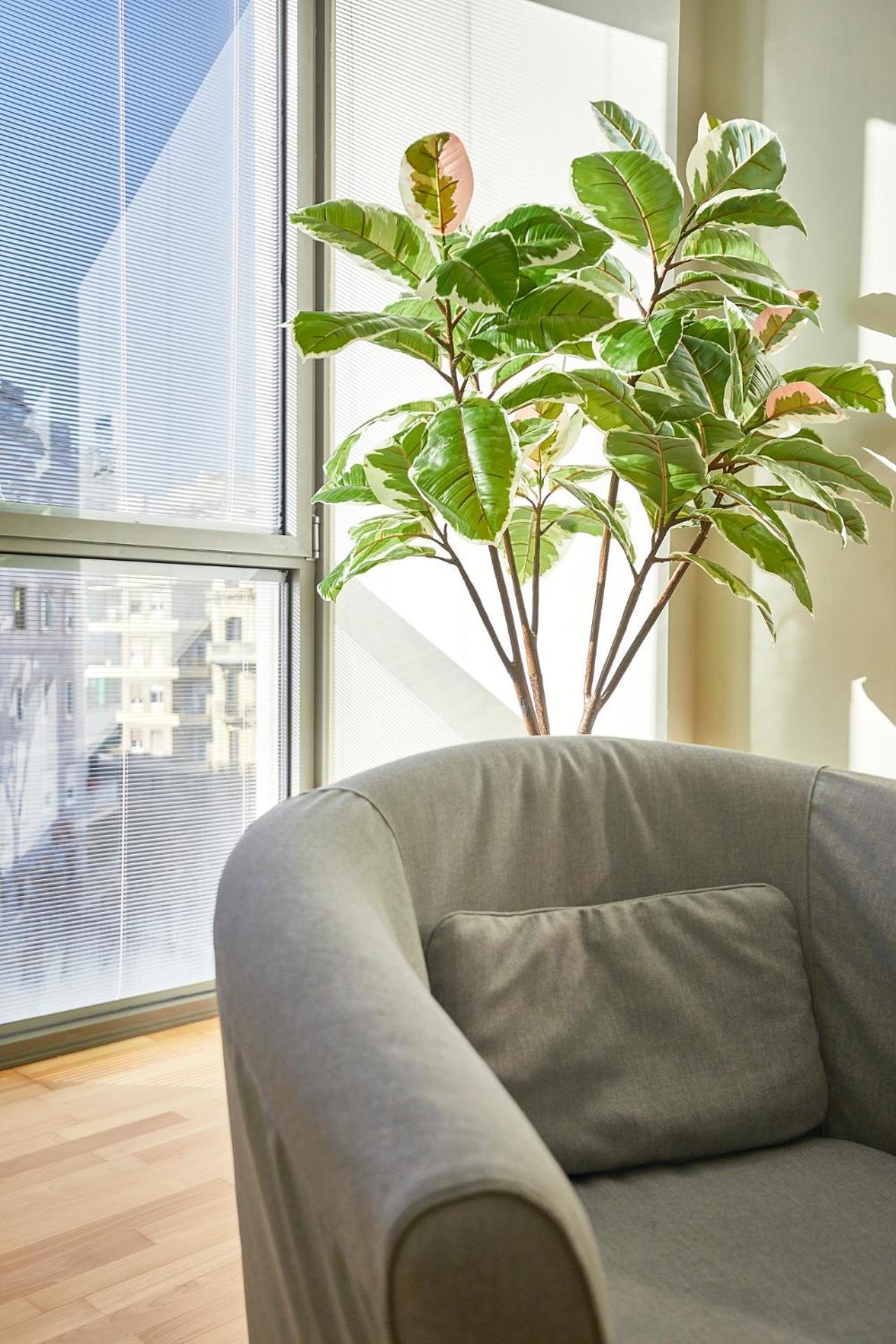 Bbarcelona Placa Universitat Flat Екстер'єр фото